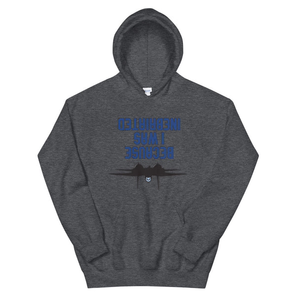 Because I was Inebriated Hoodie - All Colours