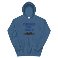 Because I was Inebriated Hoodie - All Colours