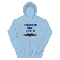 Because I was Inebriated Hoodie - All Colours