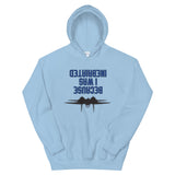 Because I was Inebriated Hoodie - All Colours