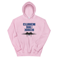 Because I was Inebriated Hoodie - All Colours