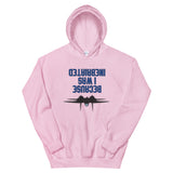 Because I was Inebriated Hoodie - All Colours