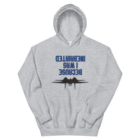 Because I was Inebriated Hoodie - All Colours