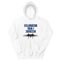 Because I was Inebriated Hoodie - All Colours
